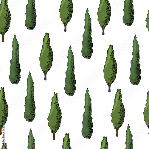 Seamless pattern with italian  cypresses. Ink and colored elements isolated on white background.