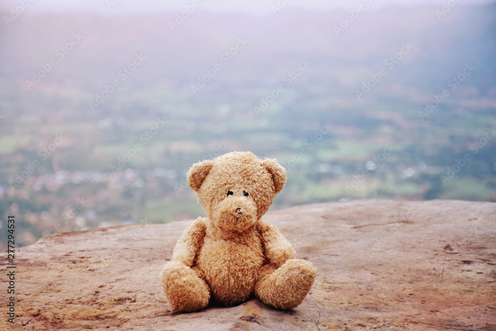 Lonely teddy bear sitting on the rock beautiful natural landscape Lonely teddy bear sitting on the rock beautiful natural landscape