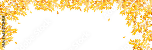  紅葉　秋　葉　背景
