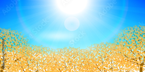  紅葉　秋　葉　背景