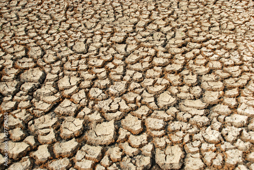 Cracked ground During the dry season of Thailand Will be very common in the summer