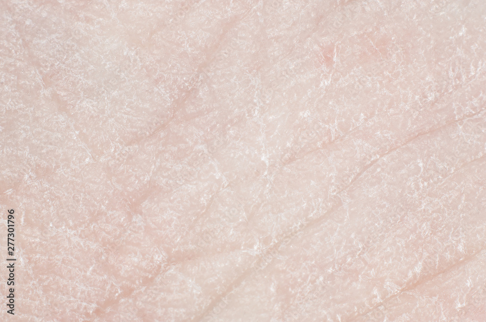 Fototapeta premium Close-up skin with pores on human leg, macro