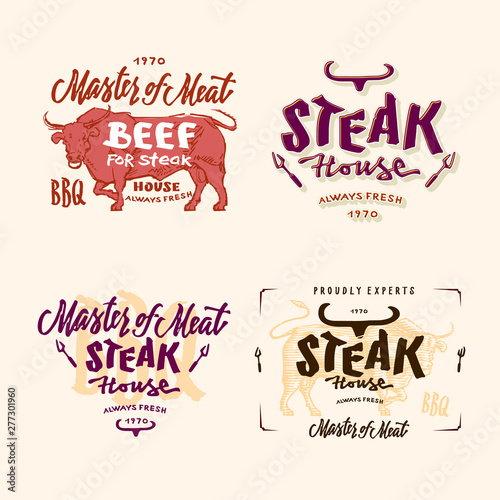BBQ, barbecue, grill logo or icons. Labels for the menu of restaurant or cafe. Vector illustration