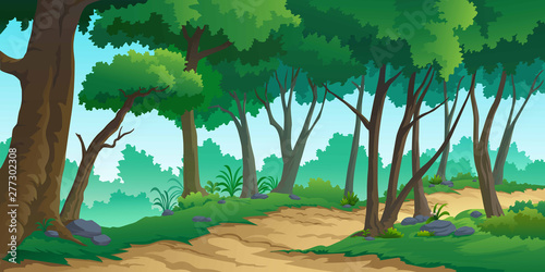 landscape forest daytime.