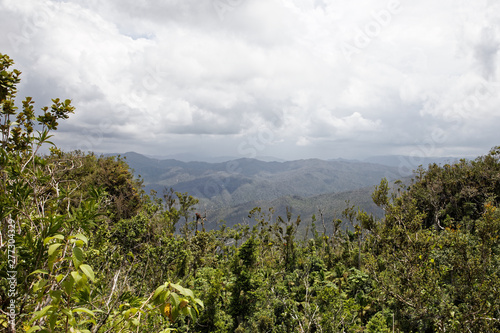 Fototapeta Tropical Vegetation and Distant Atlantic Ocean Coastline Horizon Landscape from
