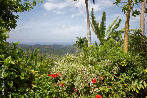 Fotografie, Obraz Tropical Vegetation and Distant Atlantic Ocean Coastline Horizon Landscape from