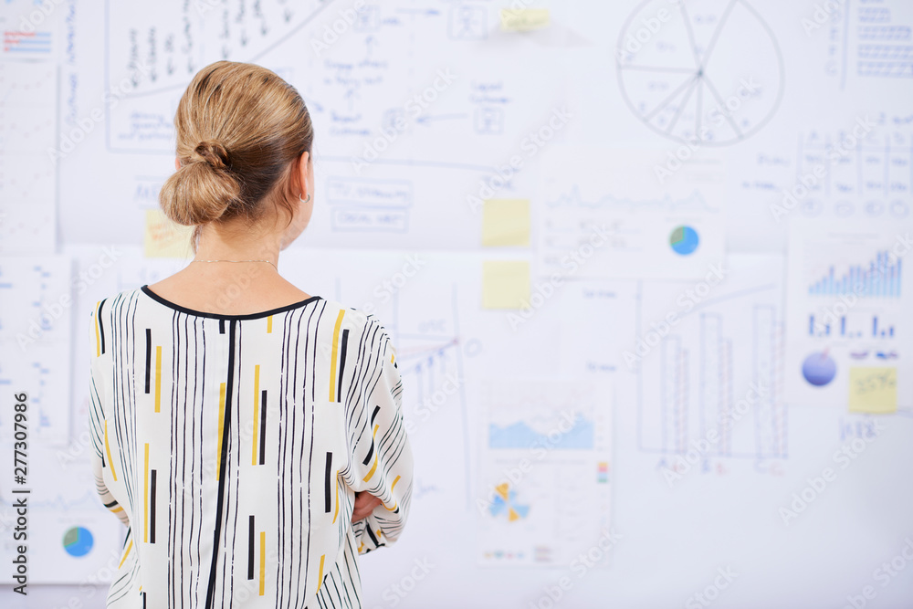 Rear view of pensive businesswoman looking at office wall covered with various chart, reports and diagrams Rear view of pensive businesswoman looking at office wall covered with various chart, reports and diagrams