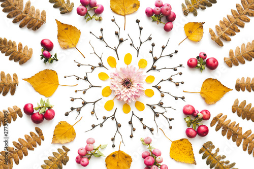 Autumn Mandala Made Of Dry Leaves, Fern, Berries, Twigs And Pink Flowerhead