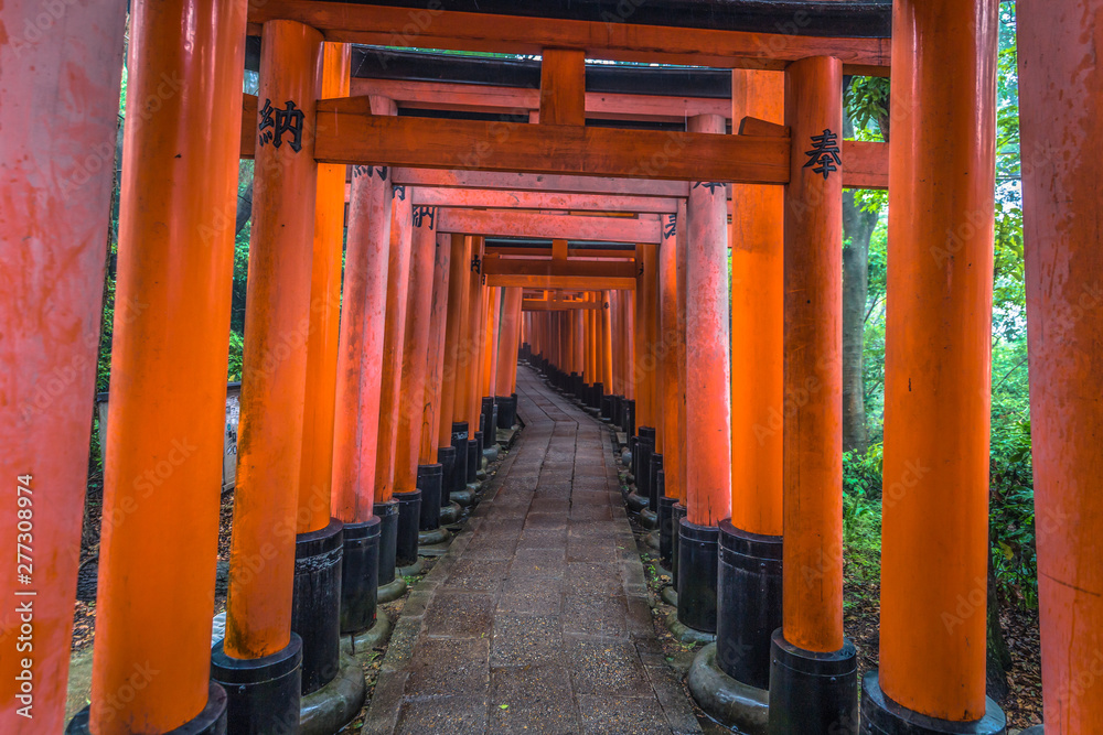 Kyoto - May 28, 2019: Torii gates of the Fushimi Inari Shinto shrine in Kyoto, Japan