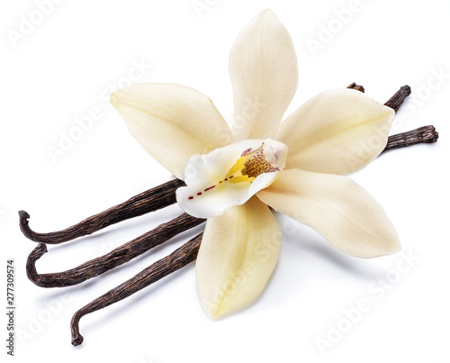 Dried vanilla sticks and orchid vanilla flower isolated on white background.