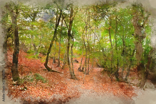 Digital watercolour paintin...