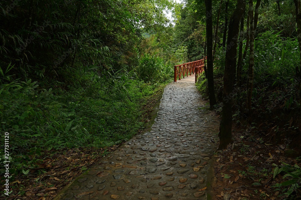 Obraz premium path in park