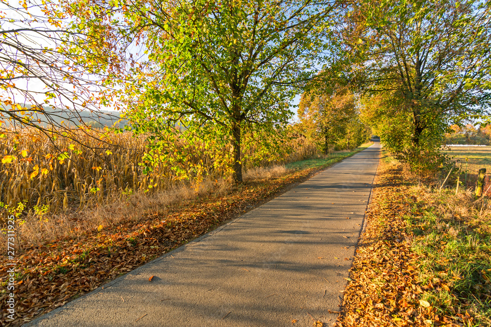 Foot path or bike lane in beautiful rural, colorful autumn landscape Foot path or bike lane in beautiful rural, colorful autumn landscape