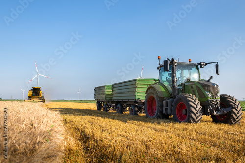 Harvesting of wheat fields in summer