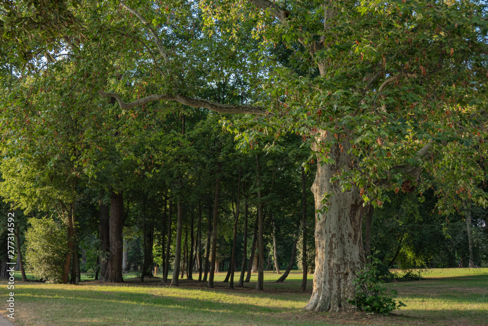 Naklejka premium Schlosspark
