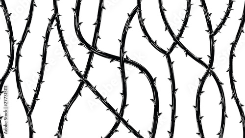 Blackthorn branches with thorns stylish background. photo