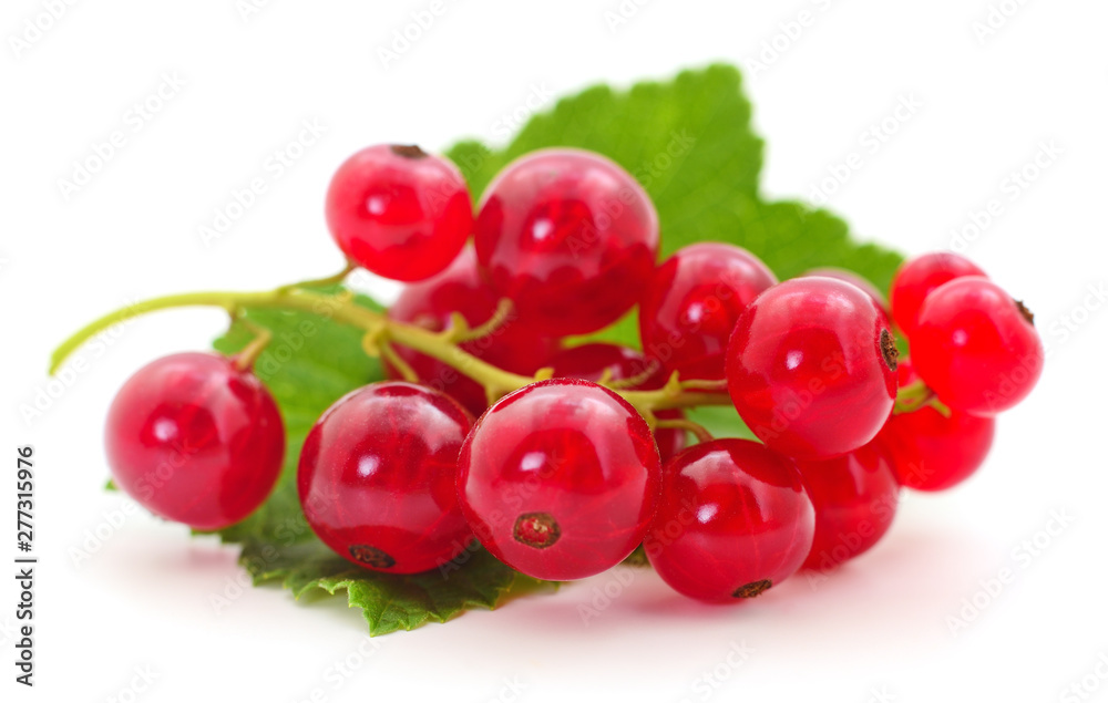 Red currants with green leaves.