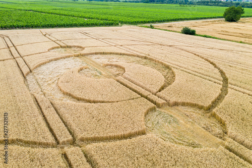 Fotografering crop circles field Alsace France