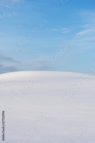 White and snowy field in winter.