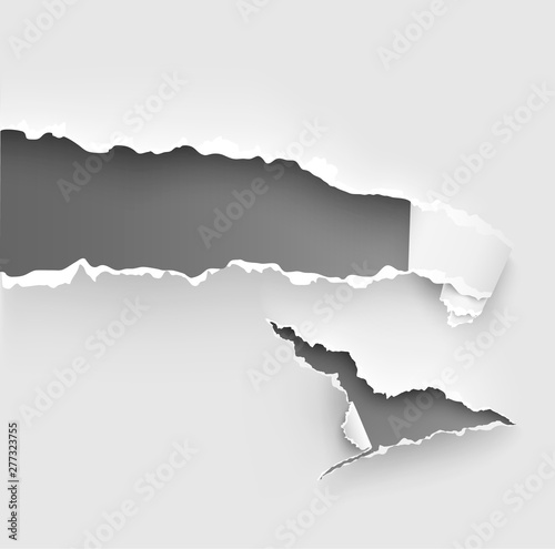 Torn ripped paper vector template, sides with ripped edges on realistic paper background. Ripped side set of banners for web and print and space for text.