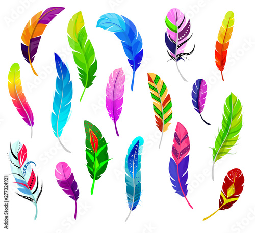 Feather vector fluffy feathering quil and colorful feathery birds plume illus...