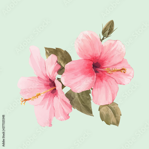 Watercolor hibiscus vector illustration
