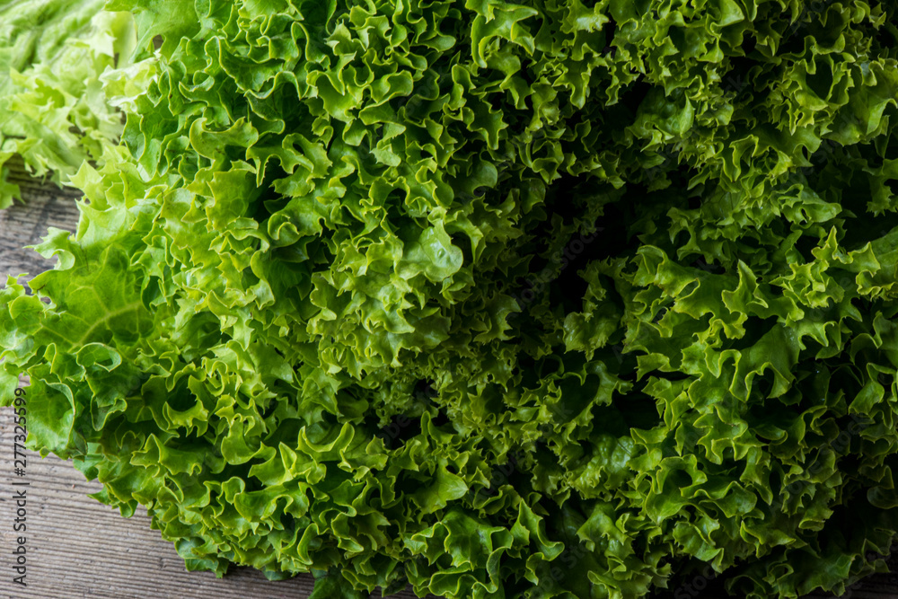 Fototapeta premium green salad on woodenbackground