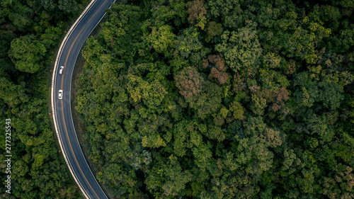Aerial view over tropical tree forest with a road going through with car, Forest Road. © Kalyakan