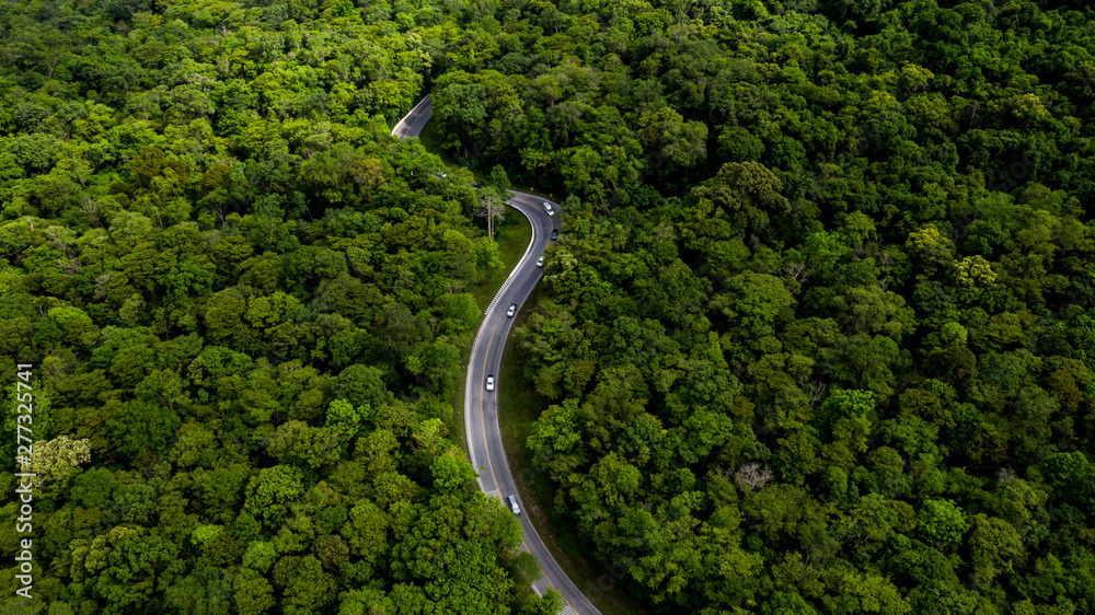 Aerial view over tropical tree forest with a road going through with car, Forest Road.