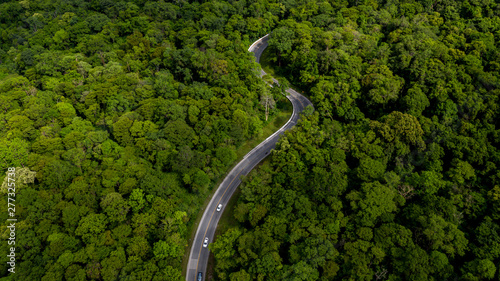 Fototapeta Naklejka Na Ścianę i Meble -  Aerial view over tropical tree forest with a road going through with car, Forest Road.