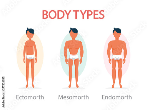 Body type concept. Endomorph, mesomorph and ectomorph