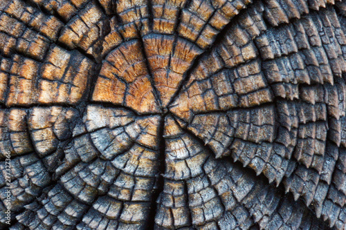 Legno antico, bello e particolare