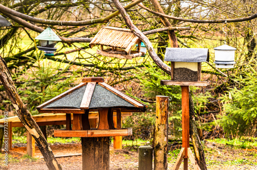 wooden birdhouse photo