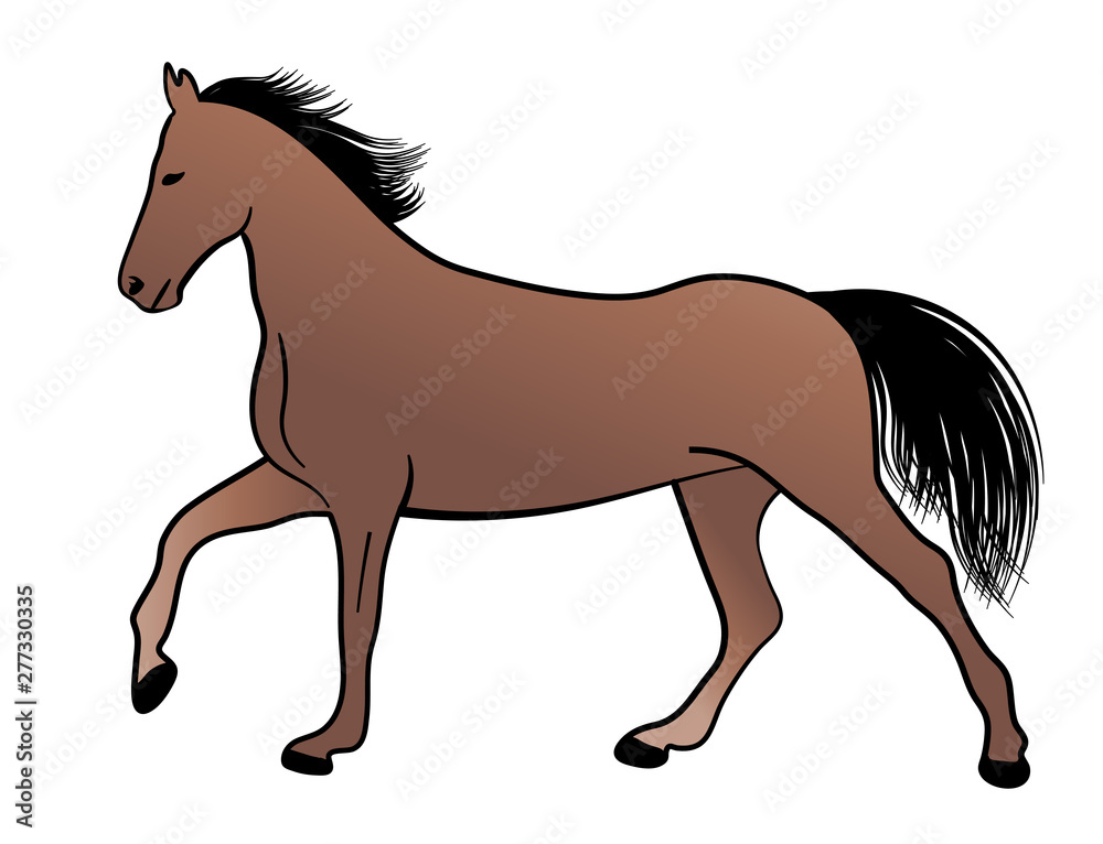 horse, color illustration - vector