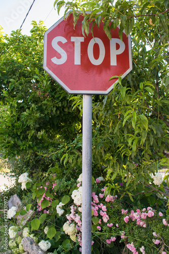 Stop Trafic Signal 