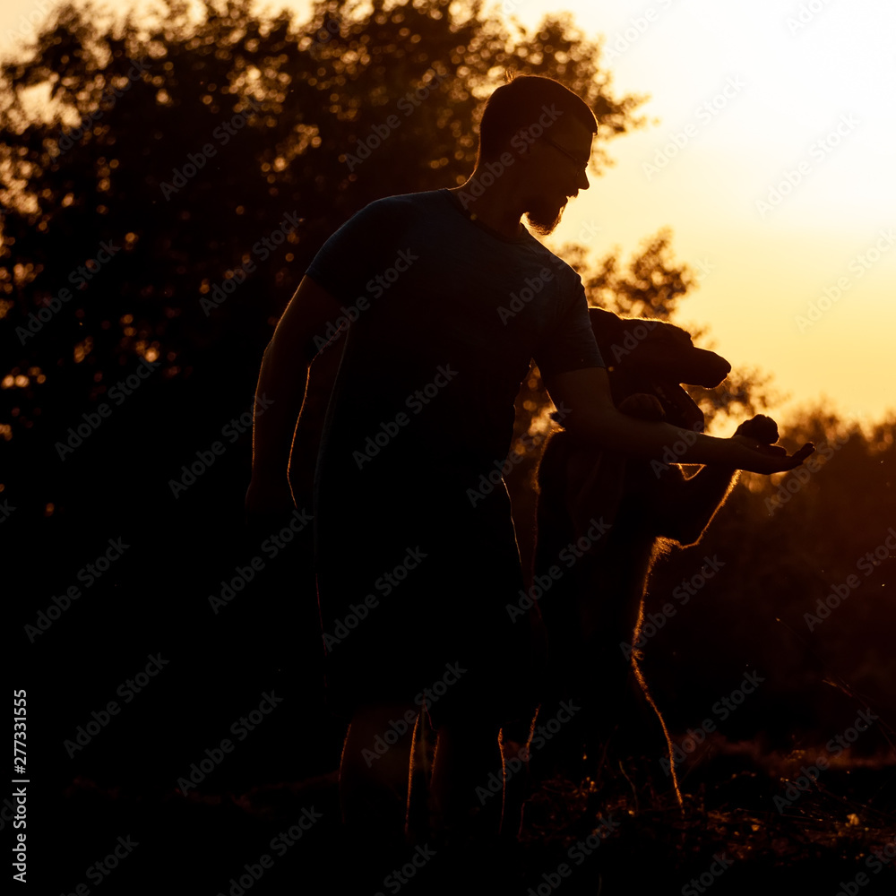 View on a man and german shepherd dog during a sunset
