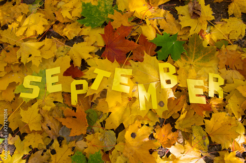 The word September made by letters on the leaves