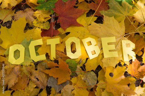 The word October made by letters on the leaves
