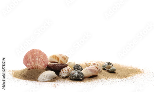Obraz na plátně Sea shells in sand pile isolated on white background