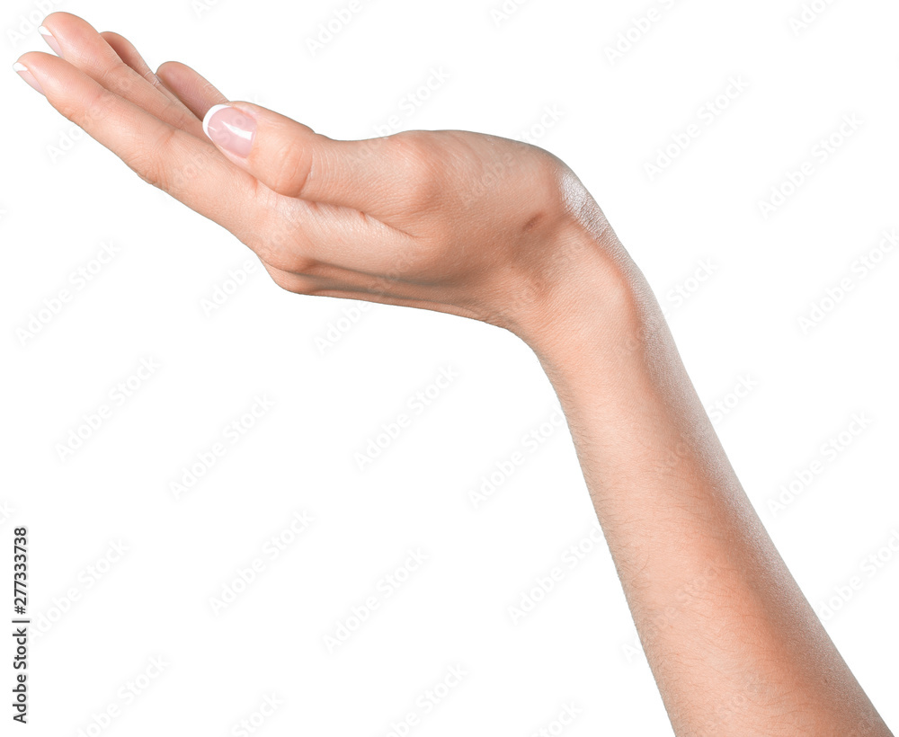 Female hand isolated on white background. White woman's hand showing symbols and gestures Female hand isolated on white background. White woman's hand showing symbols and gestures