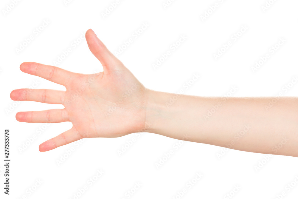 Empty open woman hand on white background
