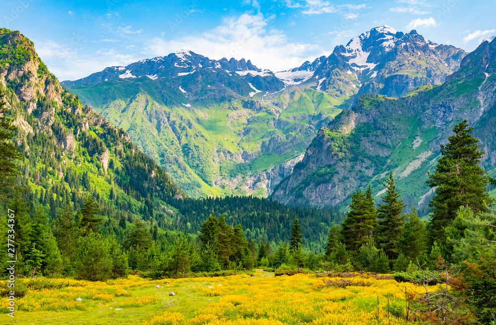 Nature background with mountains, field of wild flowers and blue sky