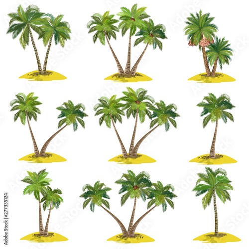 Set of palm trees (coconut, date, acai), realistic vector illustrations on white background.