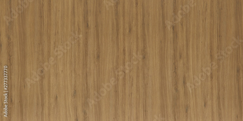 Wood oak tree close up texture background. Wooden floor or table with natural pattern