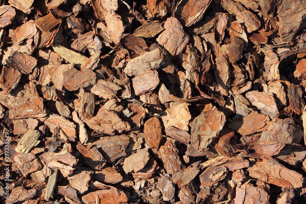 Chips of dry pine bark - soil for orchids, texture for background