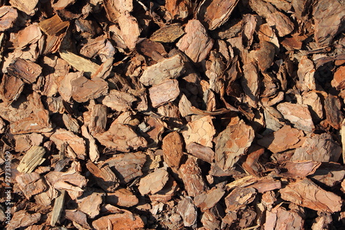 Chips of dry pine bark - soil for orchids, texture for background