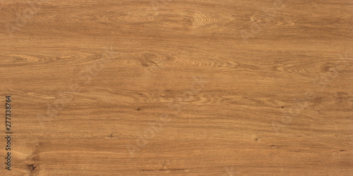 Obraz na plátně Wood oak tree close up texture background