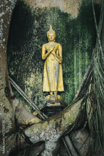 Golden Buddha statue attached to the wall with moss Surrounded by trees and roots.