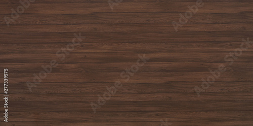 Wood oak tree close up texture background. Wooden floor or table with natural pattern