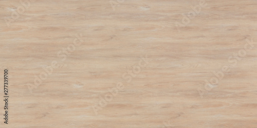 Wood oak tree close up texture background. Wooden floor or table with natural pattern